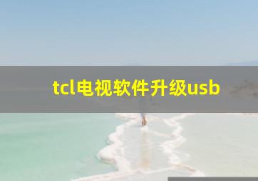 tcl电视软件升级usb