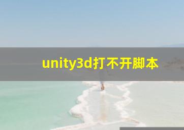 unity3d打不开脚本