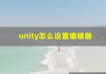 unity怎么设置编辑器