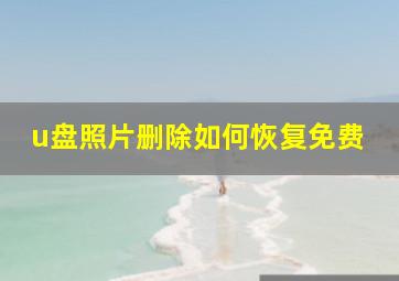 u盘照片删除如何恢复免费