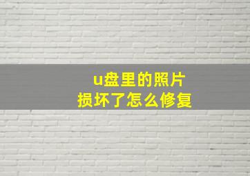 u盘里的照片损坏了怎么修复