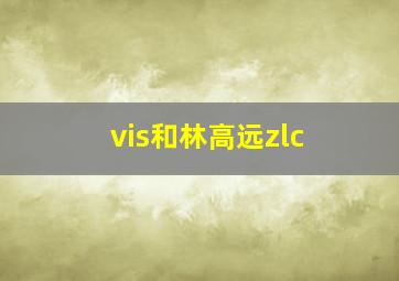 vis和林高远zlc