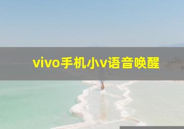 vivo手机小v语音唤醒