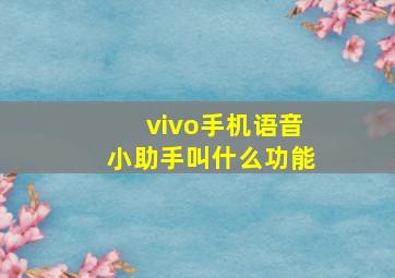 vivo手机语音小助手叫什么功能