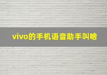 vivo的手机语音助手叫啥