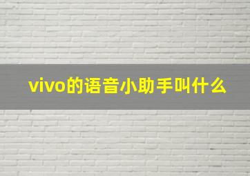 vivo的语音小助手叫什么