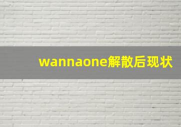 wannaone解散后现状