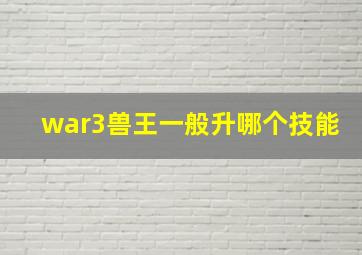 war3兽王一般升哪个技能