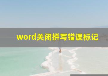 word关闭拼写错误标记