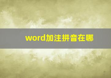 word加注拼音在哪