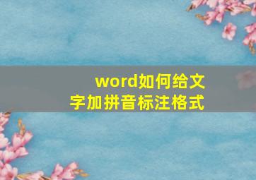 word如何给文字加拼音标注格式