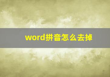 word拼音怎么去掉