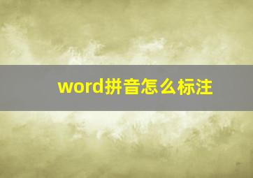 word拼音怎么标注