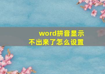 word拼音显示不出来了怎么设置