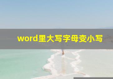 word里大写字母变小写