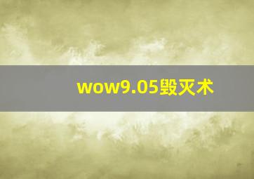 wow9.05毁灭术