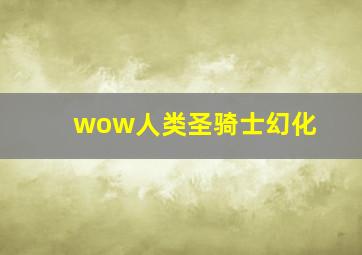 wow人类圣骑士幻化