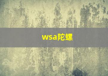 wsa陀螺