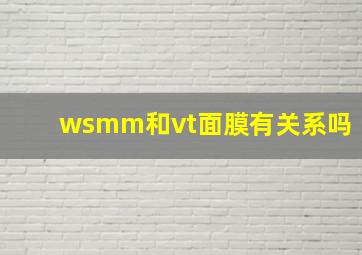 wsmm和vt面膜有关系吗