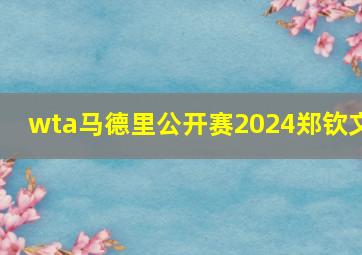 wta马德里公开赛2024郑钦文