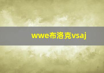 wwe布洛克vsaj