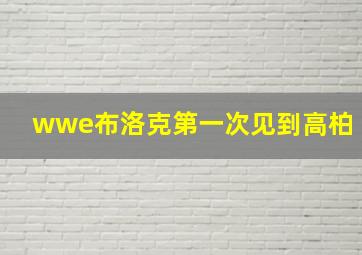 wwe布洛克第一次见到高柏