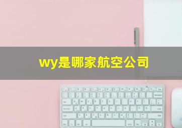 wy是哪家航空公司