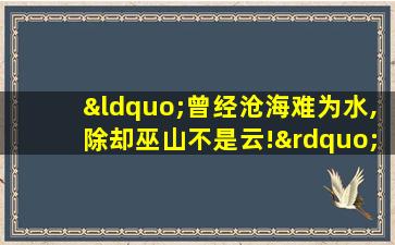 “曾经沧海难为水,除却巫山不是云!”