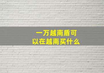 一万越南盾可以在越南买什么