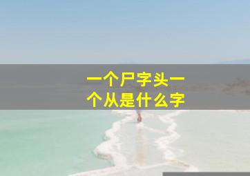 一个尸字头一个从是什么字