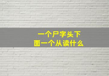 一个尸字头下面一个从读什么