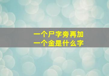 一个尸字旁再加一个金是什么字