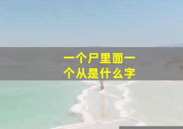 一个尸里面一个从是什么字