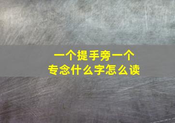 一个提手旁一个专念什么字怎么读