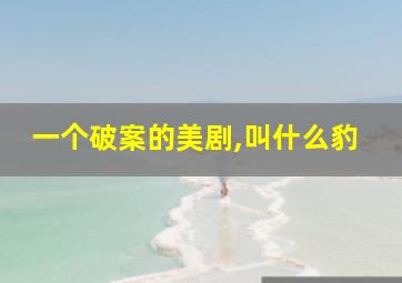 一个破案的美剧,叫什么豹