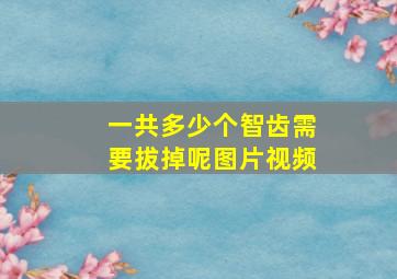 一共多少个智齿需要拔掉呢图片视频