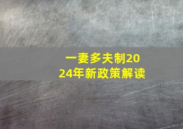 一妻多夫制2024年新政策解读