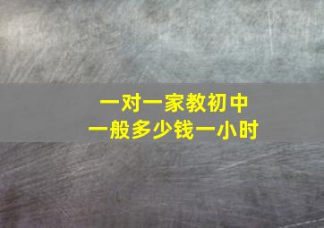 一对一家教初中一般多少钱一小时