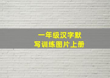 一年级汉字默写训练图片上册