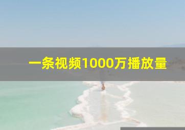 一条视频1000万播放量