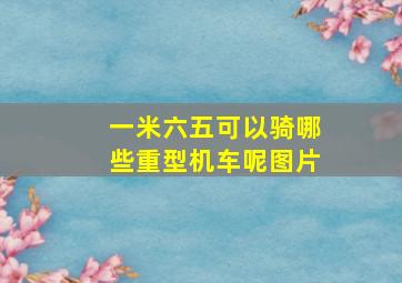 一米六五可以骑哪些重型机车呢图片