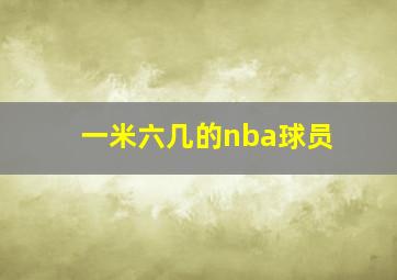 一米六几的nba球员