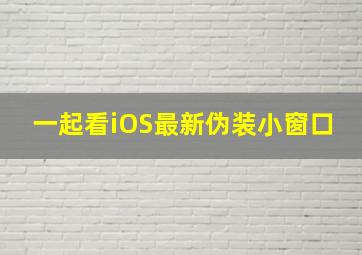 一起看iOS最新伪装小窗口