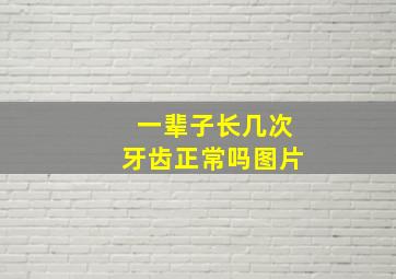 一辈子长几次牙齿正常吗图片