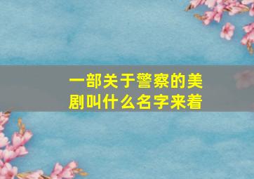 一部关于警察的美剧叫什么名字来着