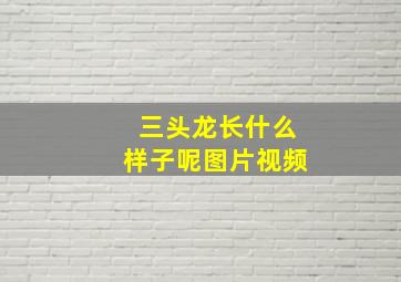 三头龙长什么样子呢图片视频