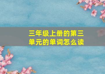 三年级上册的第三单元的单词怎么读