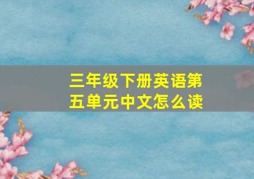 三年级下册英语第五单元中文怎么读