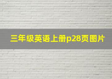 三年级英语上册p28页图片