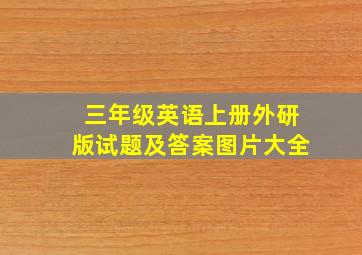 三年级英语上册外研版试题及答案图片大全